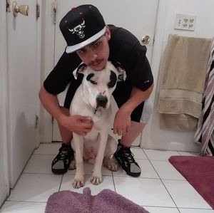 Meet your Posher, Raymond